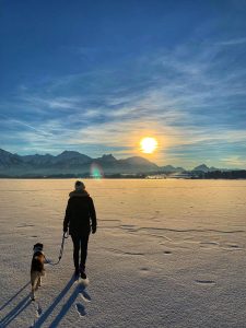 4ea8e265 c808 41bb 9d6b edbcd19f8a34