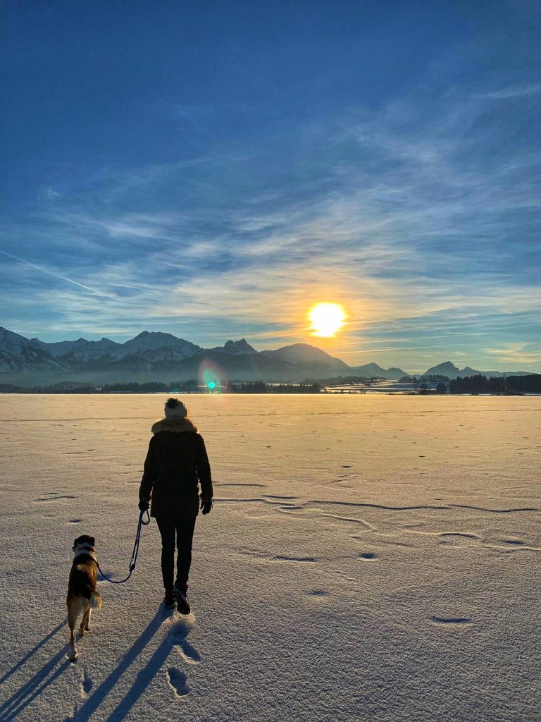 4ea8e265-c808-41bb-9d6b-edbcd19f8a34